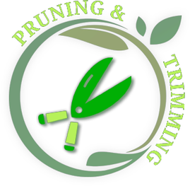 Tree Prunung and Trimming Service | Memphis, TN
